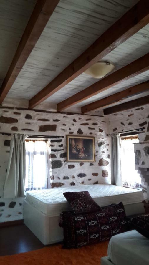 Vernon Villa Stone 1887 Kastoria Buitenkant foto
